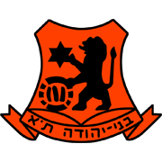 比尼叶胡达_以甲队标